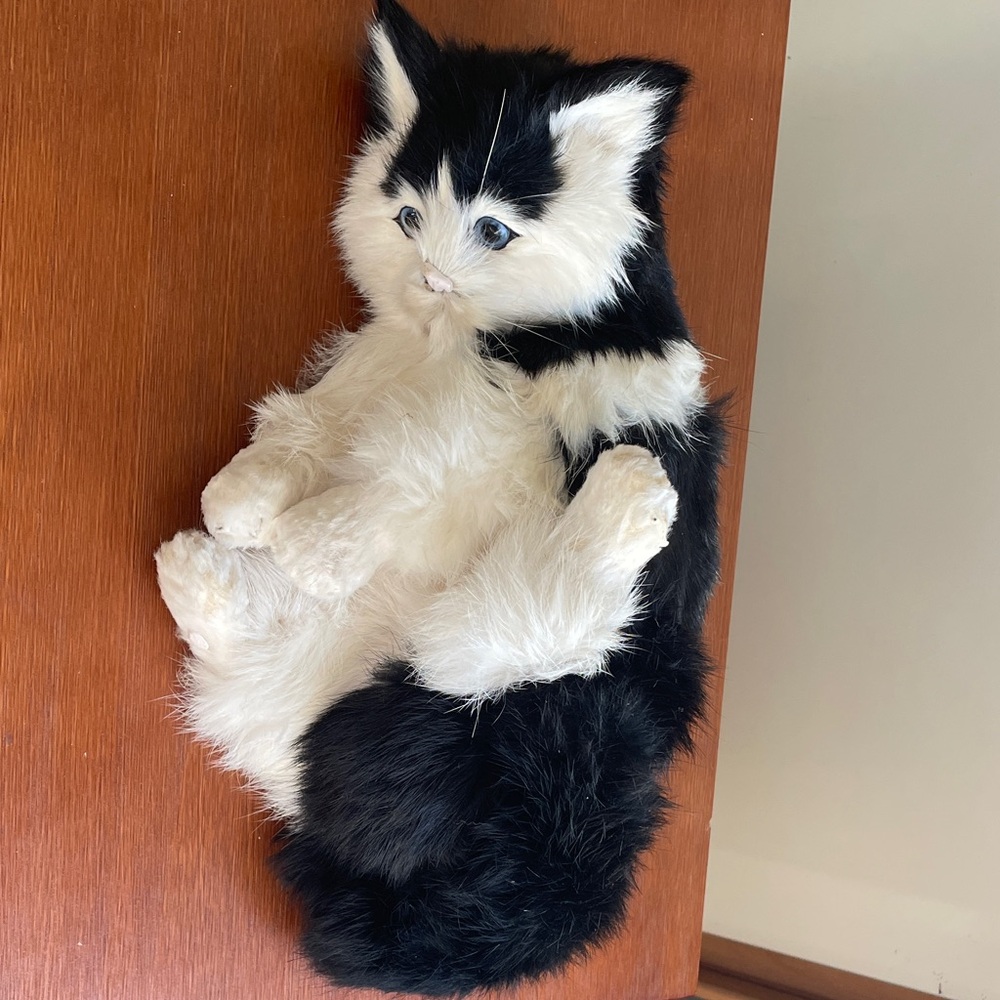 Black and White faux cat
